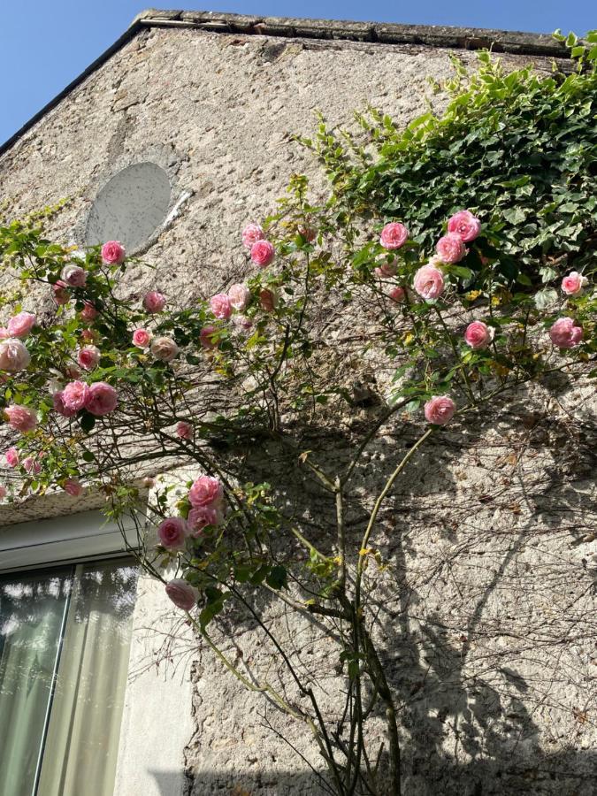 Les Bocages, Gites De Charme En Val De Loire, Piscine Chauffee Monteaux Exterior foto